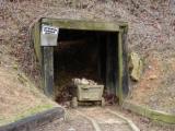 live steam track